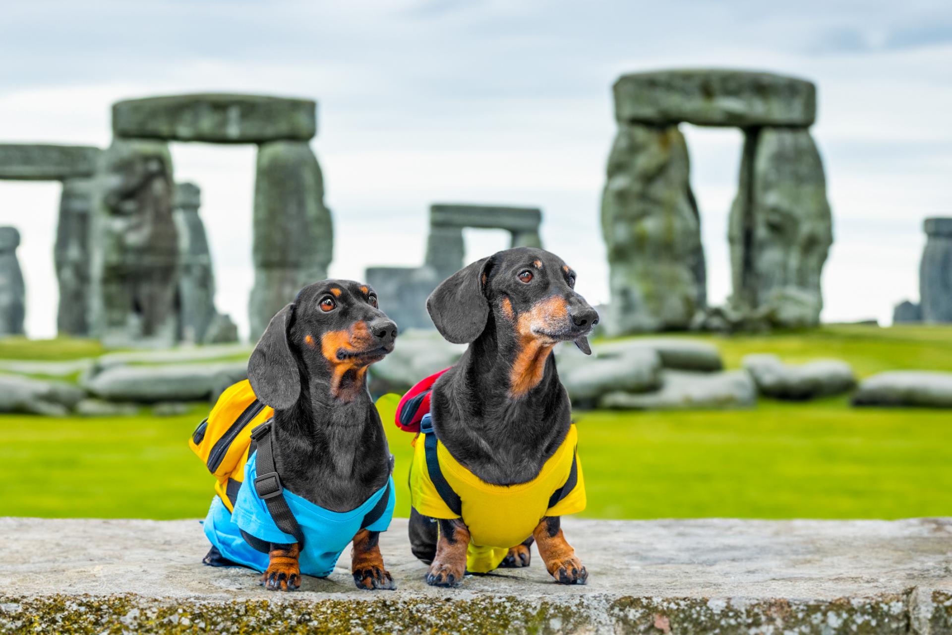 Istock 1630426736